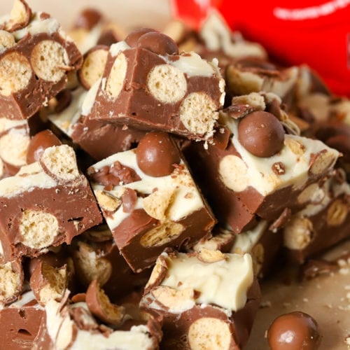 Squares of chocolate fudge with Maltese's on a table piled up.