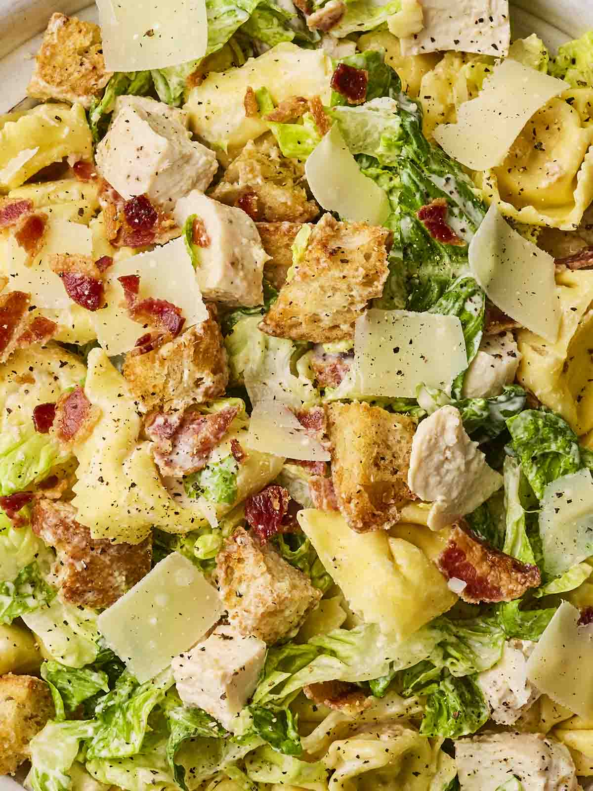 A close up of a salad with chicken, bacon, croutons, pasta and parmesan.