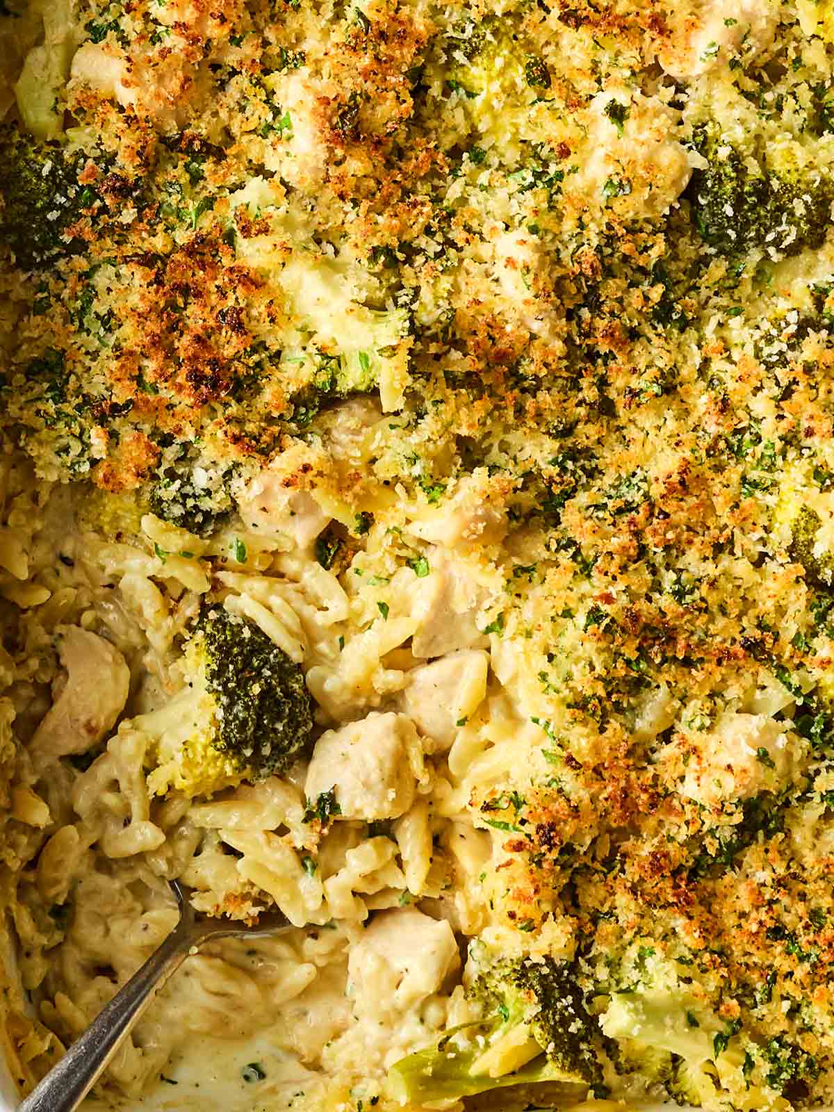A close up of a one pan meal, with orzo pasta, chicken chunks, broccoli and a crusty topping, with a creamy sauce.