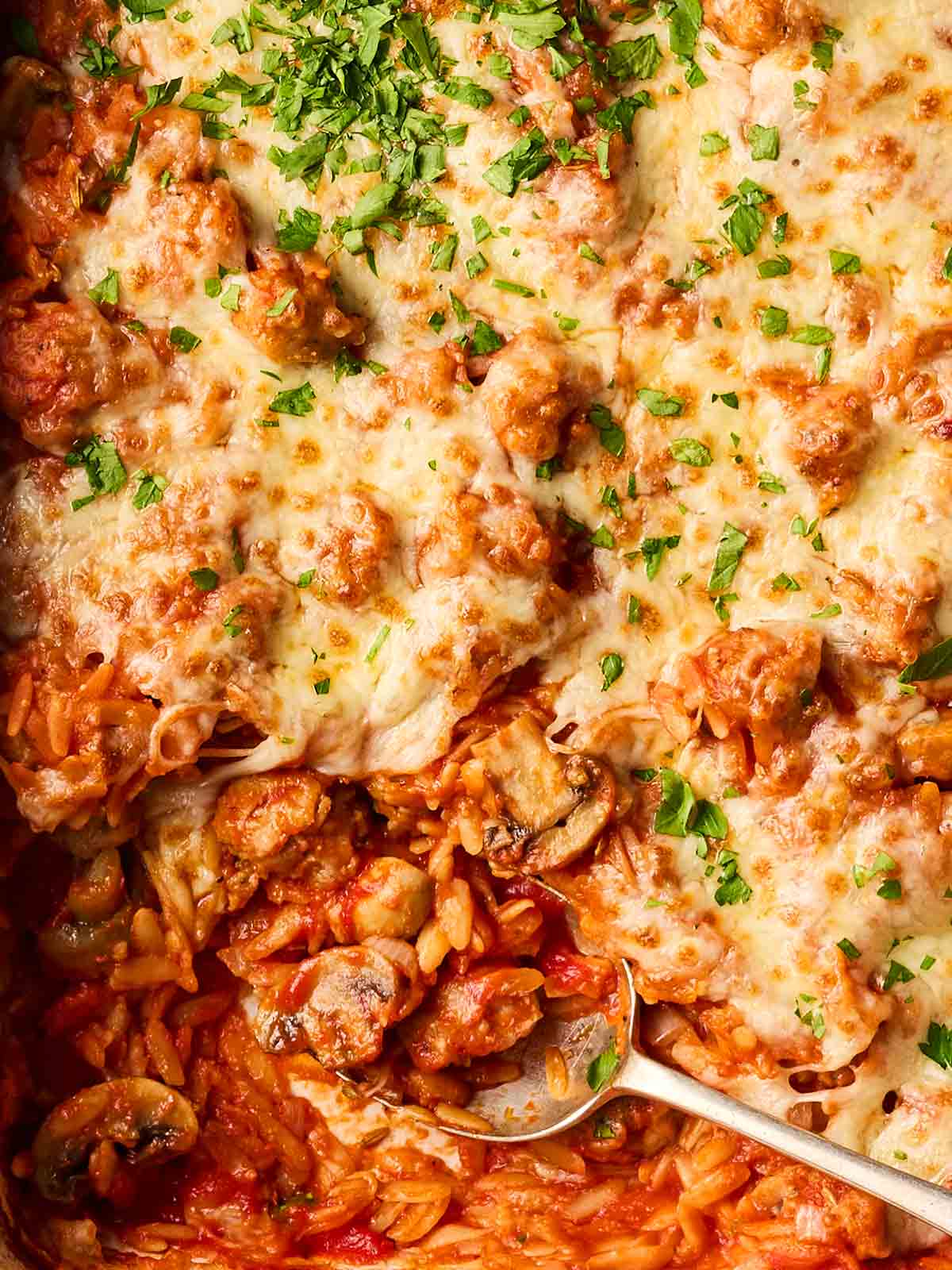 A close up of a one pan dish with sausage, mushroom and orzo in a tomato sauce with cheese on top.
